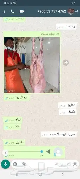 ذبايح للبيع شامل السلخ والتوصيل يوجد مشاوي 3