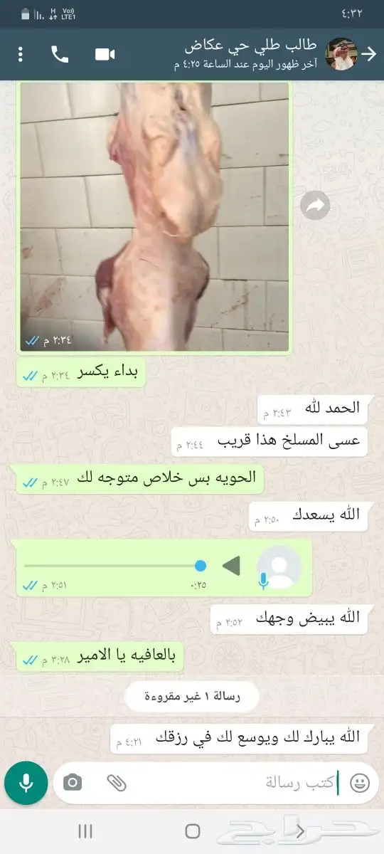 ذبايح للبيع شامل السلخ والتوصيل يوجد مشاوي 6