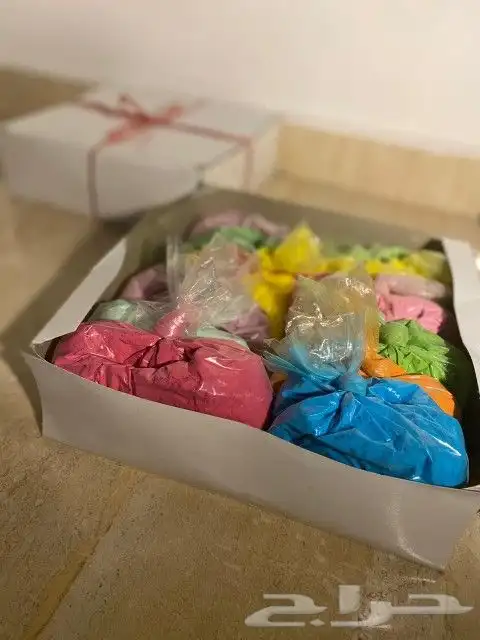 الوان هولي للعب بالشاليهات 8