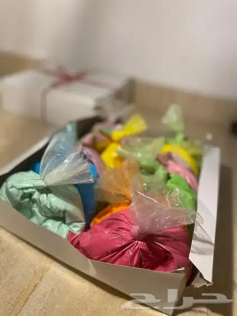 الوان هولي للعب بالشاليهات 7