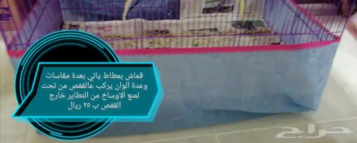 مستلزمات طيور الزينة للبيع 13