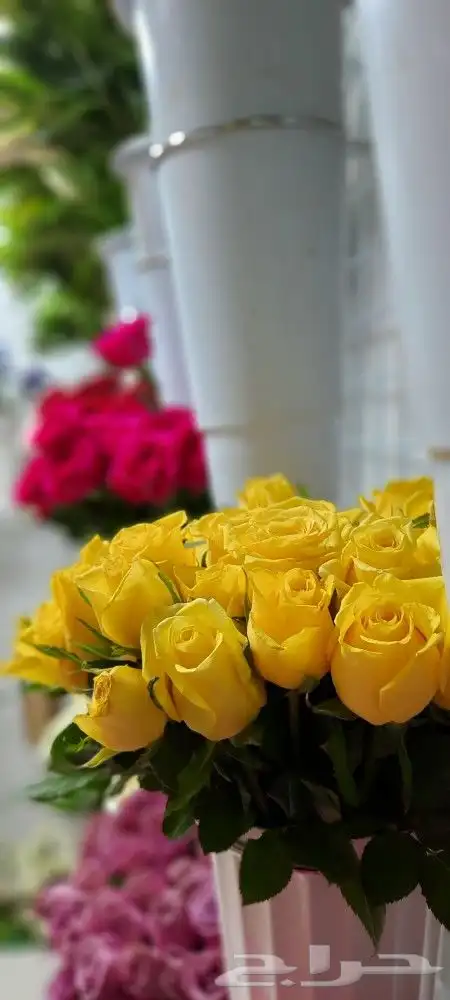 ورود هدايا عطور شوكولاته لكل المناسبات 7