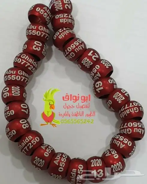 حجل فتخه حجول تحليل DNA في أوروبا اساور تاغات حلق لطيور 18