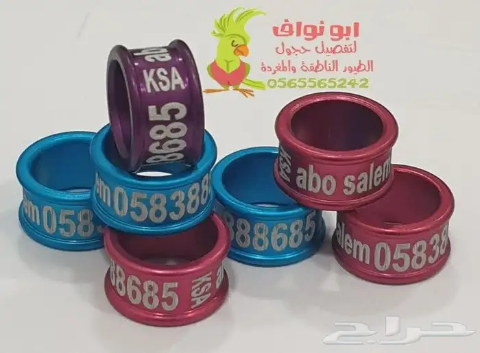 حجل فتخه حجول تحليل DNA في أوروبا اساور تاغات حلق لطيور 30