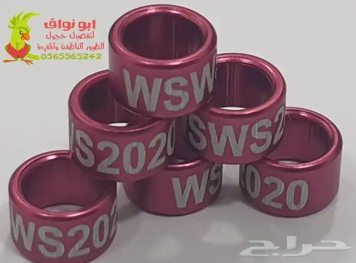 حجل فتخه حجول تحليل DNA في أوروبا اساور تاغات حلق لطيور 32