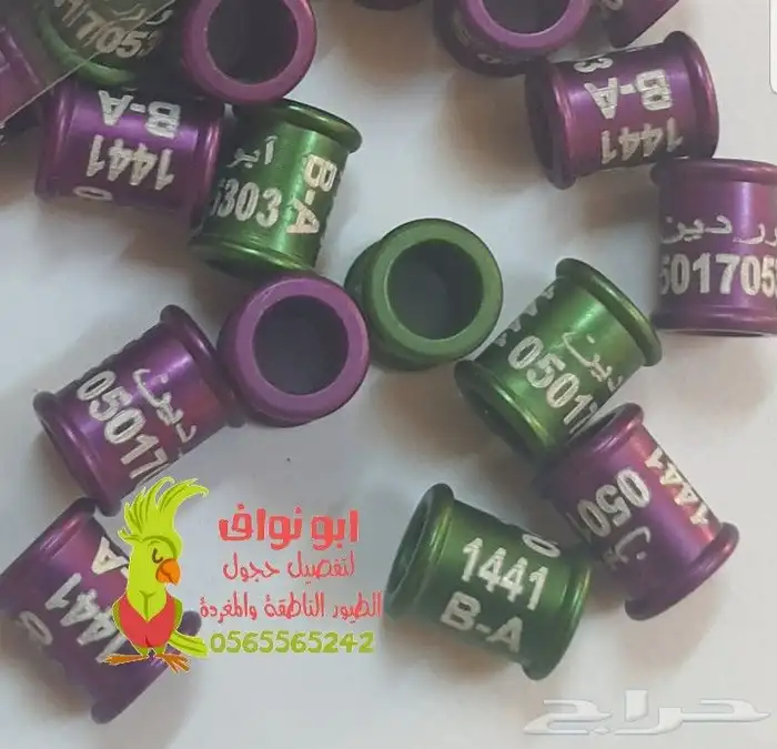 حجل فتخه حجول تحليل DNA في أوروبا اساور تاغات حلق لطيور 23