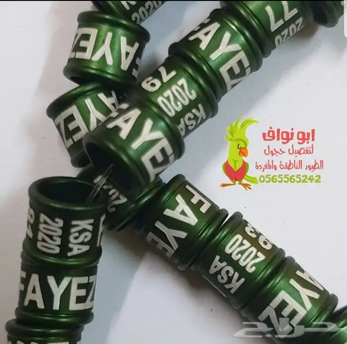 حجل فتخه حجول تحليل DNA في أوروبا اساور تاغات حلق لطيور 38