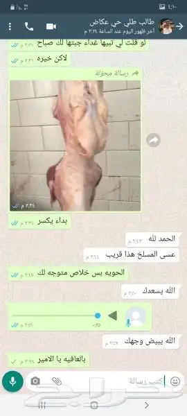 ضحايا حري شامل التوصيل (يوجد معلم مشاوي) 1