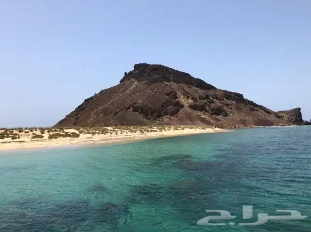 قارب نزهه الحريضة والقحمة  4