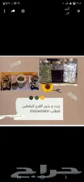 بذور و زيت القرع اليقطين 0