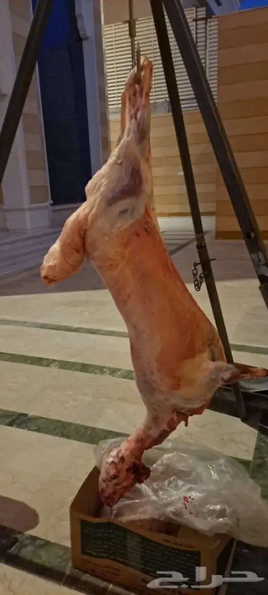معلم شوي مشاوي خارجيه 0