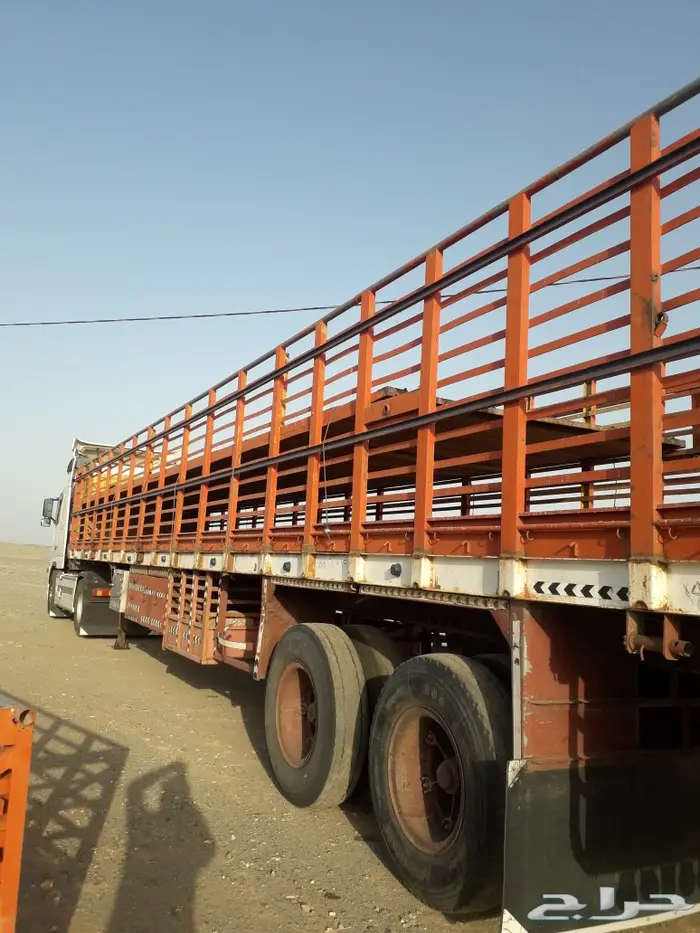 تيدر نقل الإبل والأعلاف 1