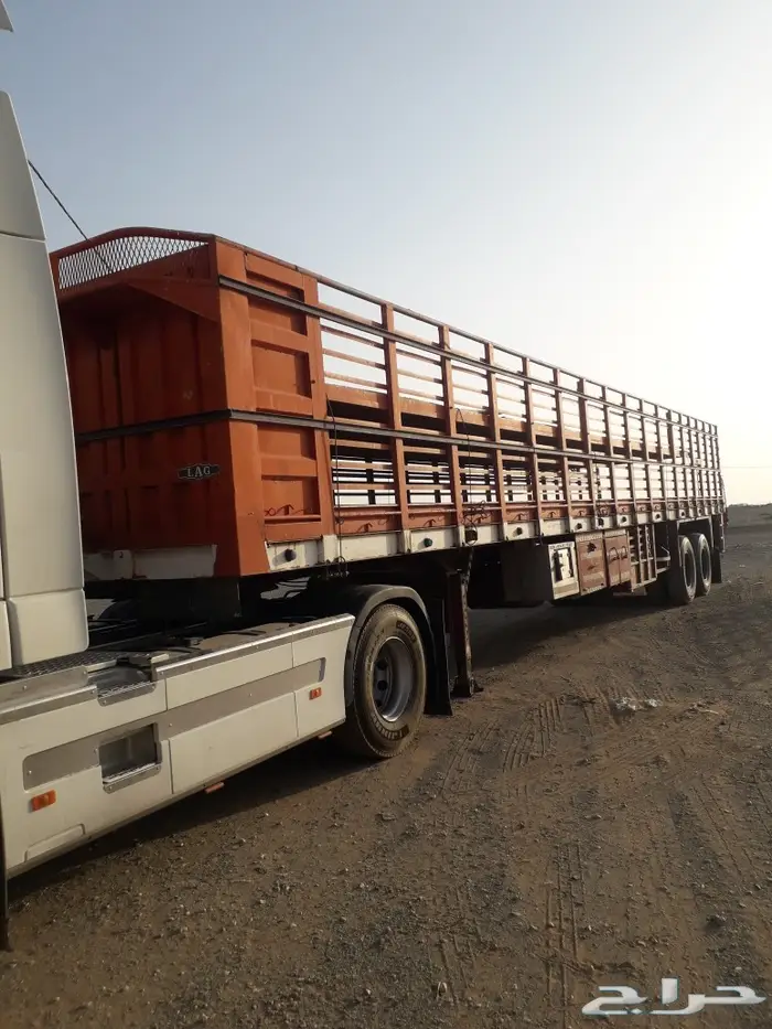 تيدر نقل الإبل والأعلاف 0