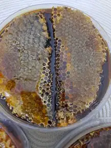 عسل بلدي ومستورد بجميع أنواعه زيت زيتون الجوف 2