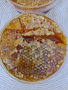 عسل بلدي ومستورد بجميع أنواعه زيت زيتون الجوف 8