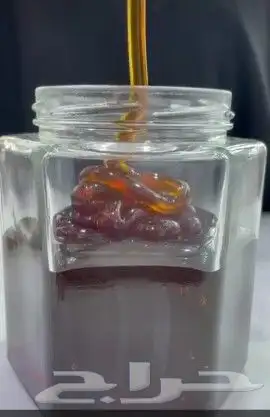 عسل بلدي ومستورد بجميع أنواعه زيت زيتون الجوف 9