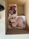 ضحايا حري شامل التوصيل (يوجد معلم مشاوي) 8