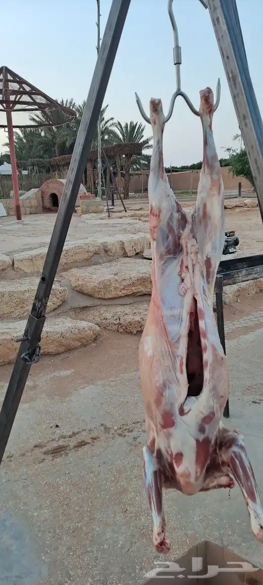 شوي خارجي مشاوي 3