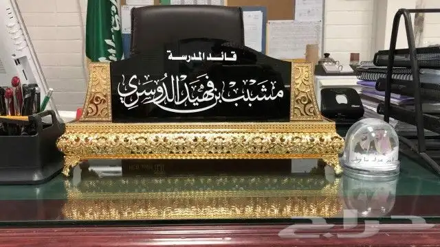 درع بشت مع سيف 9