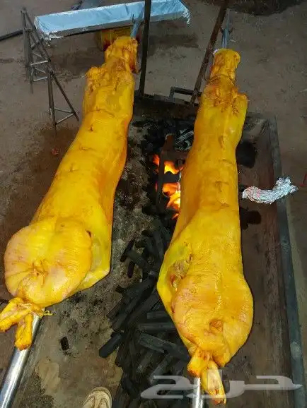 خروف علي السيخ 23