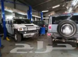 دودة دركسون 1