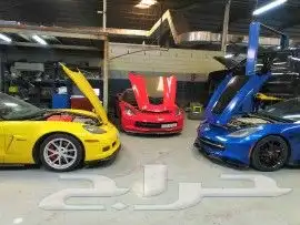 دودة دركسون 5
