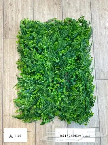 عشب جداري عشب ثيل 6