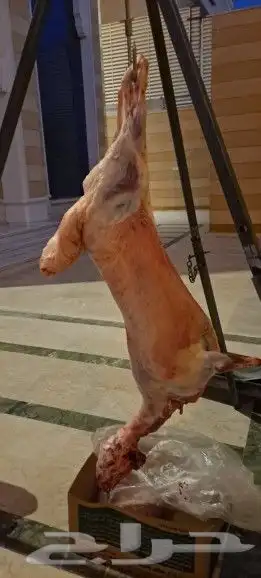شوي خارجي مشويات 0