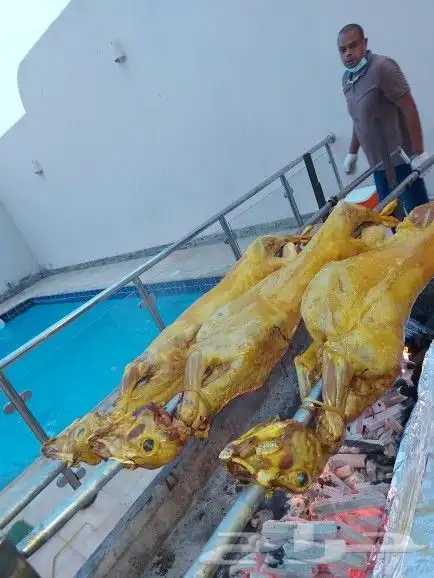 خروف علي السيخ 8