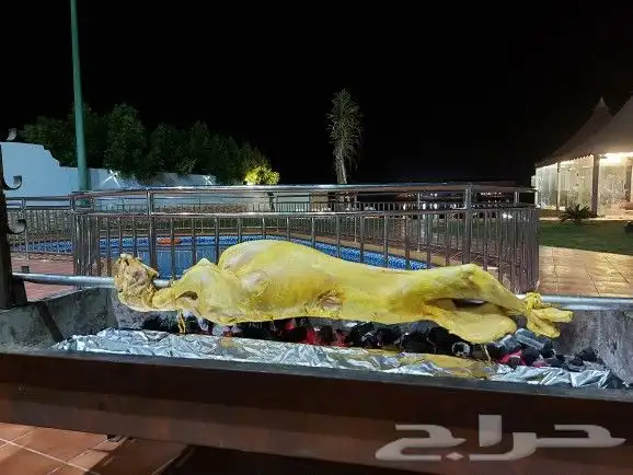 خروف علي السيخ 28