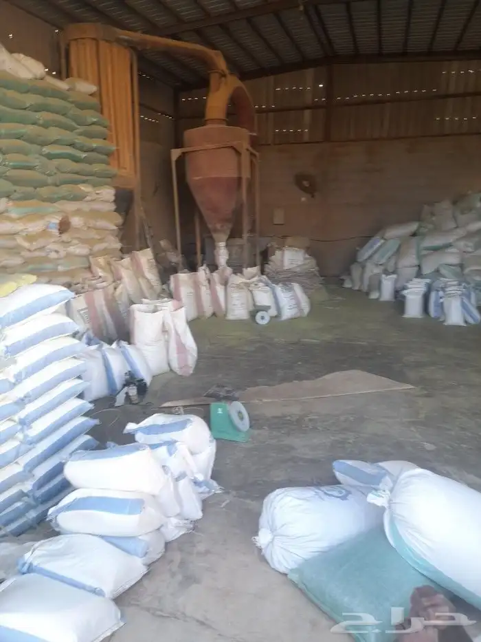 حناء ينبع مطحون 0