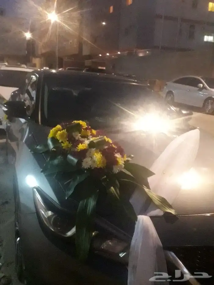 تشريع سيارات العرسان 19