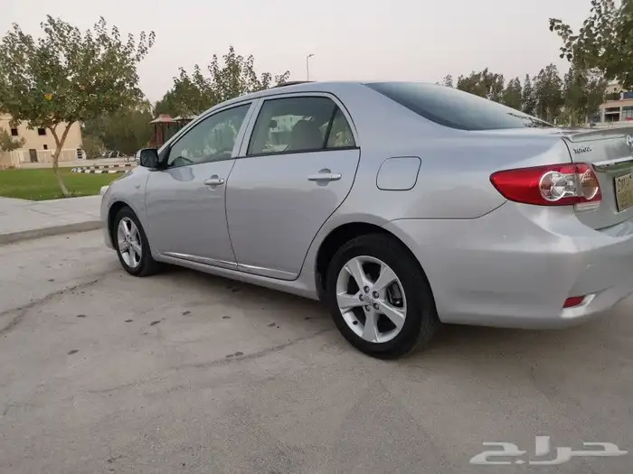 تم البيع تم البيع 31