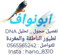 تفصيل حجول فتخات تحليل فحص DNA تاغات قلايد 10
