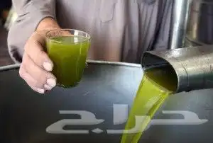 زيت زيتون فلسطيني بكر لكل أرجاء المملكة 62