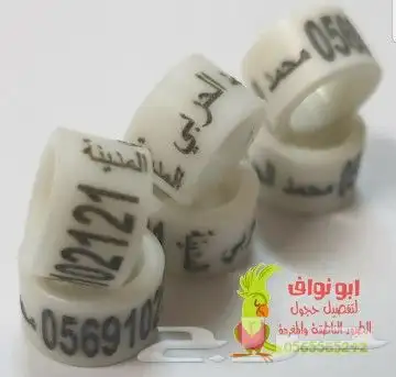 تفصيل حجول فتخات تحليل فحص DNA تاغات قلايد 31