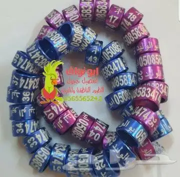 تفصيل حجول فتخات تحليل فحص DNA تاغات قلايد 13