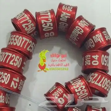 تفصيل حجول فتخات تحليل فحص DNA تاغات قلايد 12