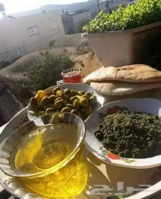 زيت زيتون فلسطيني بكر لكل أرجاء المملكة 60