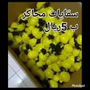 مستلزمات طيور 12