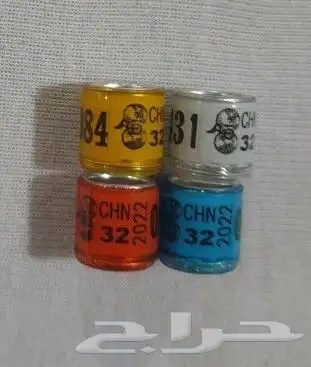 مستلزمات طيور 34