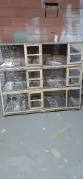 محاكر0578696398هذا رقم سليم 43