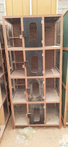 محاكر0578696398هذا رقم سليم 51