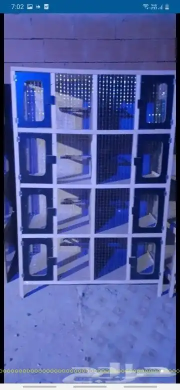 محاكر0578696398هذا رقم سليم 25