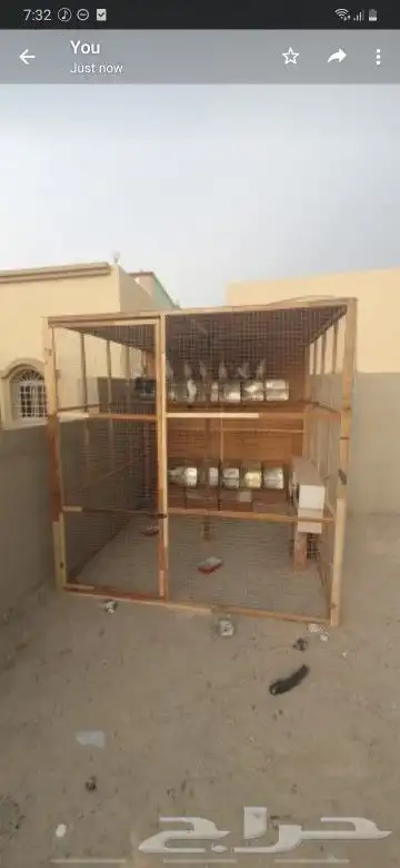 محاكر0578696398هذا رقم سليم 29