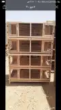 محاكر0578696398هذا رقم سليم 31
