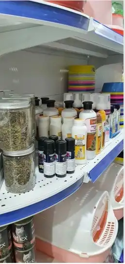 مستلزمات القطط والطيور بأنواعها 38