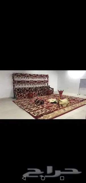لتركيب الخيام وبيوت الشعر  1