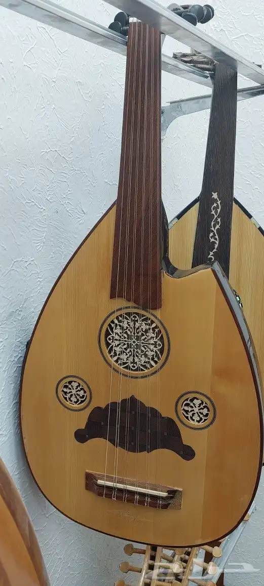 عود كهربائي للبيع 10