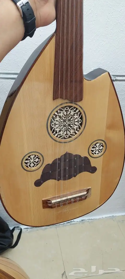 عود كهربائي للبيع 6